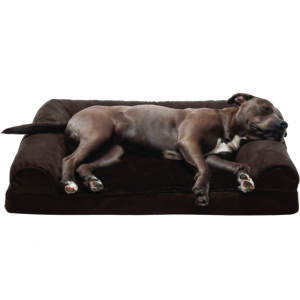 Dog Sofa