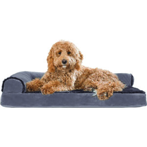 Chaise Lounge Beds